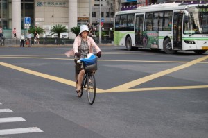 Nicht zu unterst in der Verkehrsnahrungskette - aber fast: Der Fahrradfahrer