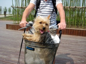 Mit Jimmy auf Chongming Island im Mündungsdelta des Yangtse